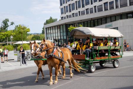 furmanski praznik _ 2024 (12)